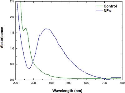 Biogenic Silver Nanoparticles as a Strategy in the Fight Against Multi-Resistant Salmonella enterica Isolated From Dairy Calves